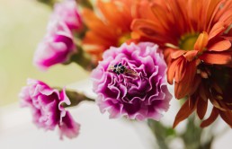 Biżuteria z motywem kwiatowym — ponadczasowa i romantyczna